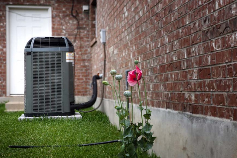 Outdoor Air Conditioning unit next to a pink flower