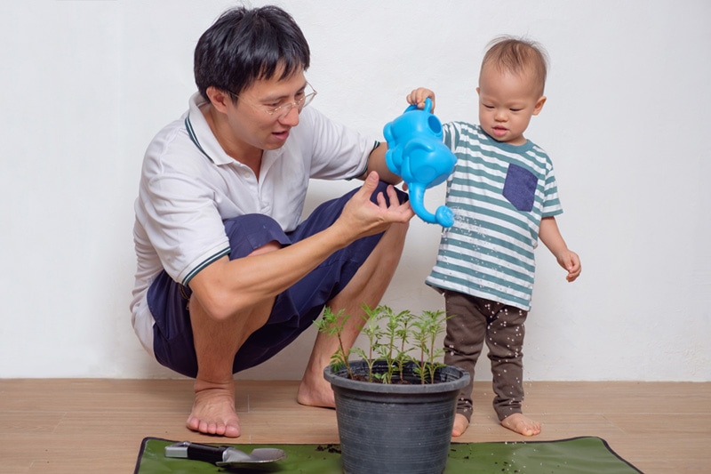 HVAC Ways To Go Green in Your Home